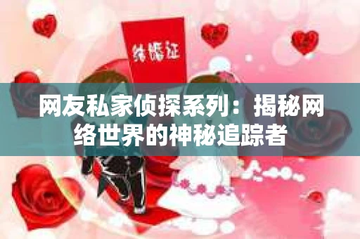 网友私家侦探系列：揭秘网络世界的神秘追踪者
