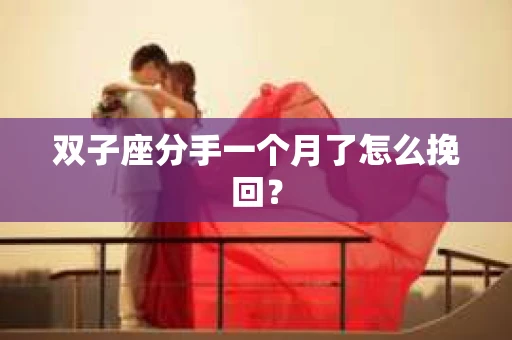 双子座分手一个月了怎么挽回？