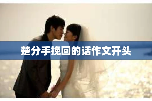 楚分手挽回的话作文开头