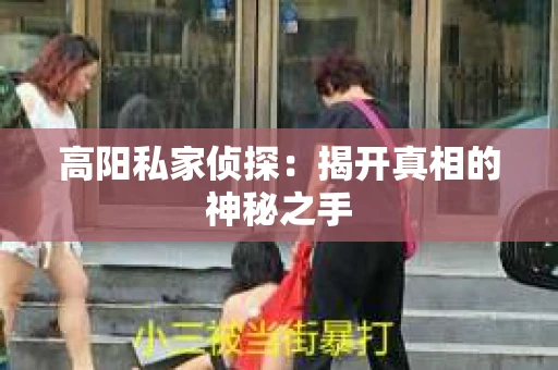 高阳私家侦探：揭开真相的神秘之手