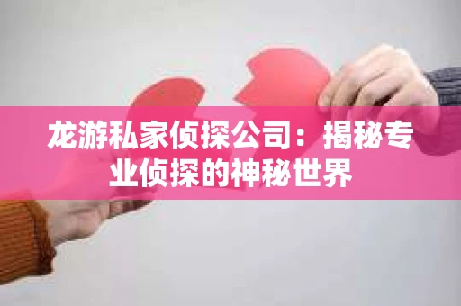 龙游私家侦探公司：揭秘专业侦探的神秘世界
