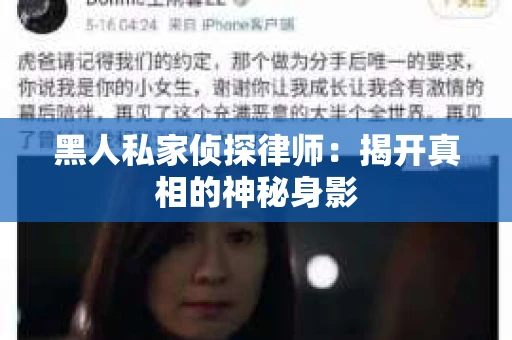 黑人私家侦探律师：揭开真相的神秘身影