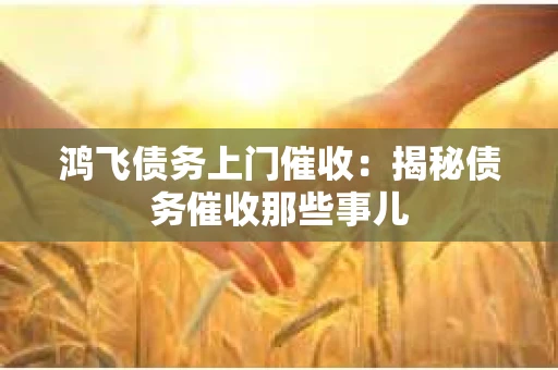 鸿飞债务上门催收：揭秘债务催收那些事儿