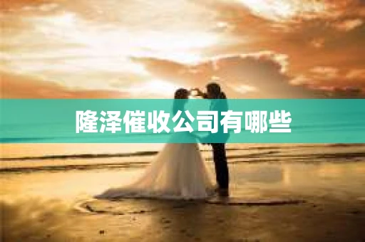 隆泽催收公司有哪些