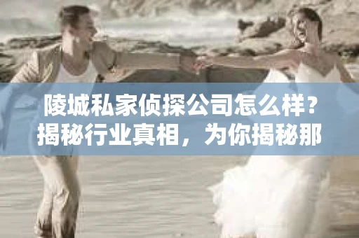 陵城私家侦探公司怎么样？揭秘行业真相，为你揭秘那些不为人知的秘密
