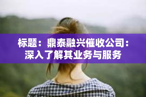 标题：鼎泰融兴催收公司：深入了解其业务与服务