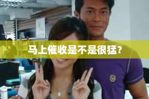 马上催收是不是很猛？