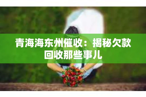 青海海东州催收：揭秘欠款回收那些事儿