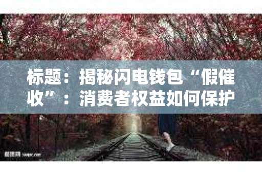 标题：揭秘闪电钱包“假催收”：消费者权益如何保护？