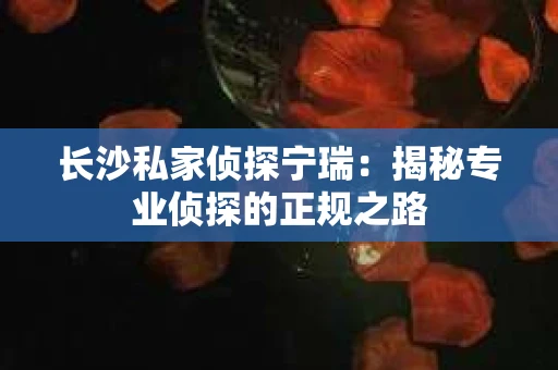 长沙私家侦探宁瑞：揭秘专业侦探的正规之路