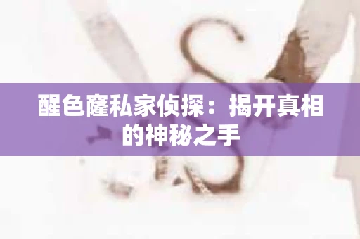 醒色窿私家侦探：揭开真相的神秘之手