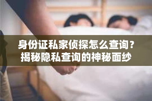 身份证私家侦探怎么查询？揭秘隐私查询的神秘面纱