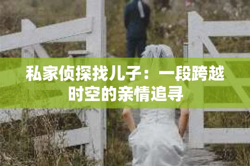 私家侦探找儿子：一段跨越时空的亲情追寻