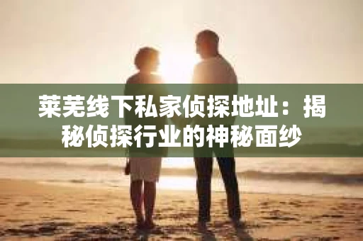 莱芜线下私家侦探地址：揭秘侦探行业的神秘面纱