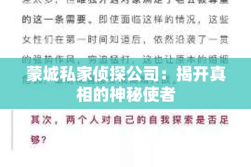 蒙城私家侦探公司：揭开真相的神秘使者
