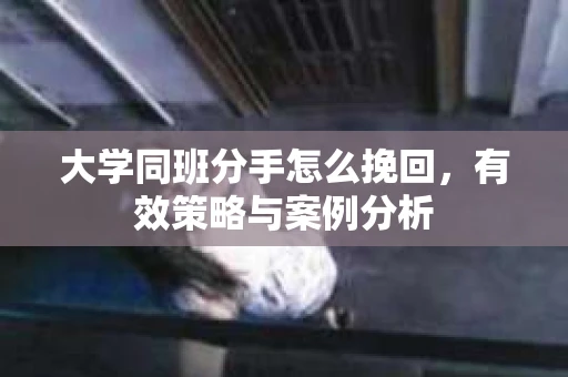 大学同班分手怎么挽回，有效策略与案例分析