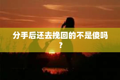 分手后还去挽回的不是傻吗？