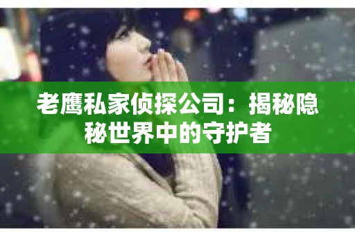 老鹰私家侦探公司：揭秘隐秘世界中的守护者